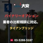 バイナリーオプション業者の比較相談に対応。｜タイアンブリッジ
