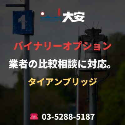 バイナリーオプション業者の比較相談に対応。｜タイアンブリッジ