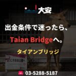 出金条件で迷ったら、Taian Bridgeへ。