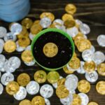 個人年金保険って結局なに?シニア視点で5分解説 asset_8369680