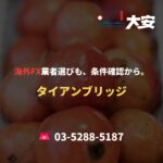 海外FX業者選びも、条件確認から。｜タイアンブリッジ