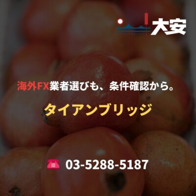 海外FX業者選びも、条件確認から。｜タイアンブリッジ