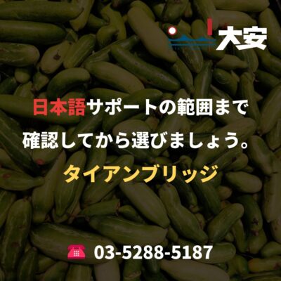 日本語サポートの範囲まで確認してから選びましょう。｜タイアンブリッジ