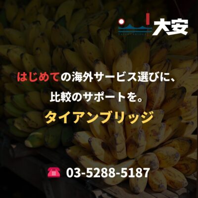 はじめての海外サービス選びに、比較のサポートを。｜タイアンブリッジ