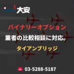 バイナリーオプション業者の比較相談に対応。｜タイアンブリッジ