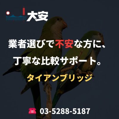 業者選びで不安な方に、丁寧な比較サポート。｜タイアンブリッジ