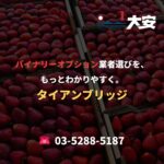 バイナリーオプション業者選びを、もっとわかりやすく。｜タイアンブリッジ