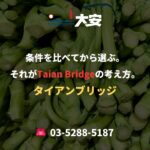 条件を比べてから選ぶ。それがTaian Bridgeの考え方。