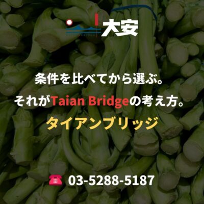 条件を比べてから選ぶ。それがTaian Bridgeの考え方。
