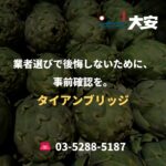 業者選びで後悔しないために、事前確認を。｜タイアンブリッジ