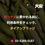 ボーナスに惹かれる前に、利用条件をチェック。｜タイアンブリッジ