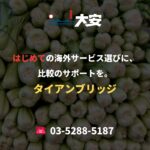 はじめての海外サービス選びに、比較のサポートを。｜タイアンブリッジ