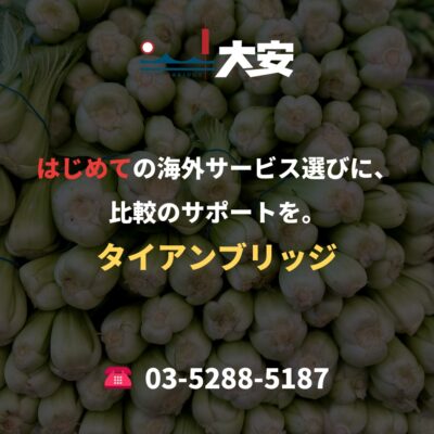 はじめての海外サービス選びに、比較のサポートを。｜タイアンブリッジ
