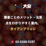 業者ごとのメリット・注意点をわかりやすく案内。｜タイアンブリッジ