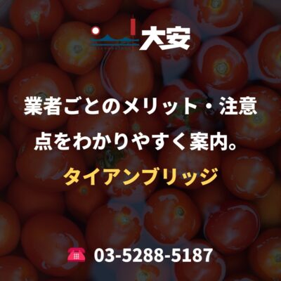 業者ごとのメリット・注意点をわかりやすく案内。｜タイアンブリッジ