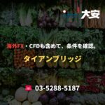 海外FX・CFDも含めて、条件を確認。｜タイアンブリッジ