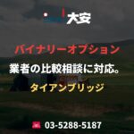 バイナリーオプション業者の比較相談に対応。｜タイアンブリッジ