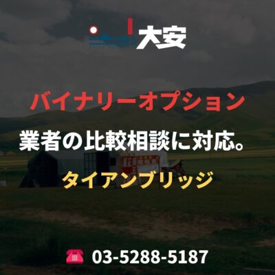 バイナリーオプション業者の比較相談に対応。｜タイアンブリッジ