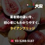 業者間の違いを、初心者にもわかりやすく。｜タイアンブリッジ
