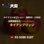 バイナリーオプション・海外FX・CFDの比較相談ならTaian Bridge。