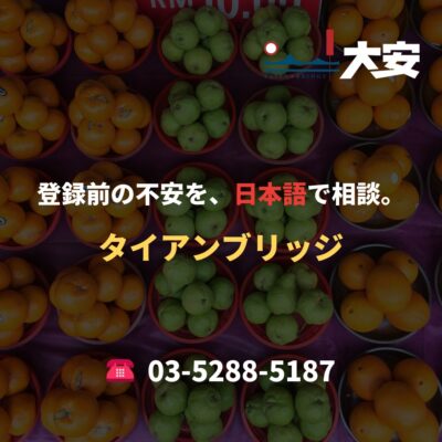 登録前の不安を、日本語で相談。｜タイアンブリッジ