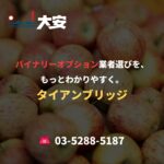 バイナリーオプション業者選びを、もっとわかりやすく。｜タイアンブリッジ