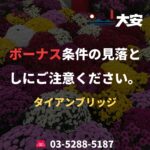 ボーナス条件の見落としにご注意ください。｜タイアンブリッジ