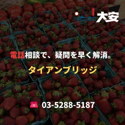 電話相談で、疑問を早く解消。｜タイアンブリッジ