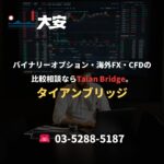 バイナリーオプション・海外FX・CFDの比較相談ならTaian Bridge。