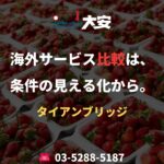 海外サービス比較は、条件の見える化から。｜タイアンブリッジ