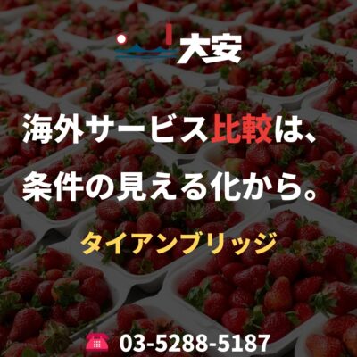 海外サービス比較は、条件の見える化から。｜タイアンブリッジ