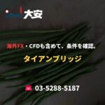 海外FX・CFDも含めて、条件を確認。｜タイアンブリッジ