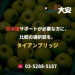 日本語サポートが必要な方に、比較の選択肢を。｜タイアンブリッジ