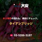 本人確認の流れも、事前にチェック。｜タイアンブリッジ