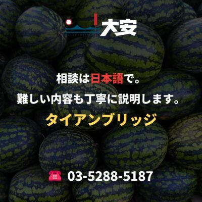 相談は日本語で。難しい内容も丁寧に説明します。｜タイアンブリッジ