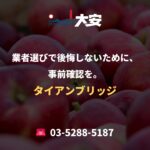 業者選びで後悔しないために、事前確認を。｜タイアンブリッジ