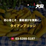 初心者こそ、業者選びを慎重に。｜タイアンブリッジ