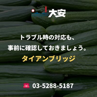 トラブル時の対応も、事前に確認しておきましょう。｜タイアンブリッジ