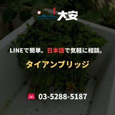 LINEで簡単。日本語で気軽に相談。｜タイアンブリッジ